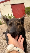 Lena Image 5
